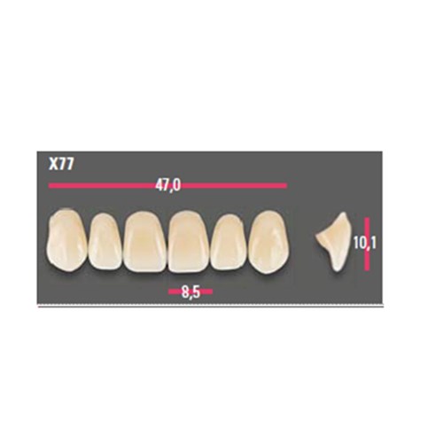 Vitapan Anterior Shade D4 Upper Mould X77 Set 6