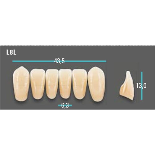 Physiodens Anterior Shade A1 Lower Mould L8L Set 6
