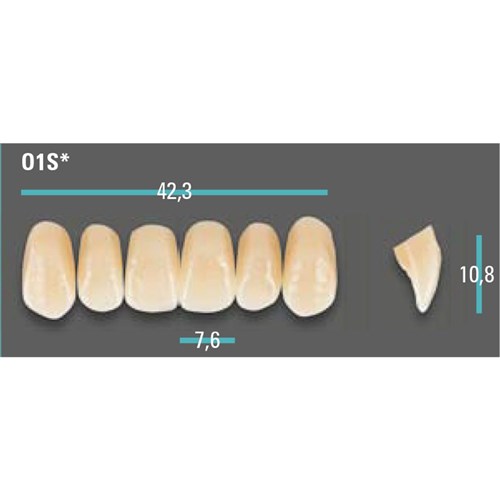 Physiodens Anterior Shade A1 Upper Mould O1S Set 6