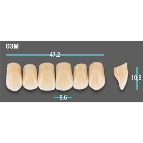 Physiodens Anterior Shade A1 Upper Mould O3M Set 6