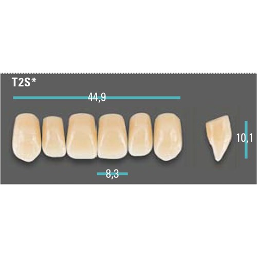 Physiodens Anterior Shade A1 Upper Mould T2S Set 6