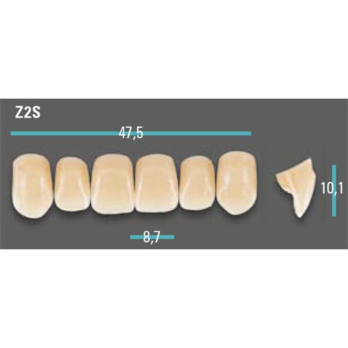 Physiodens Anterior Shade A1 Upper Mould Z2S Set 6
