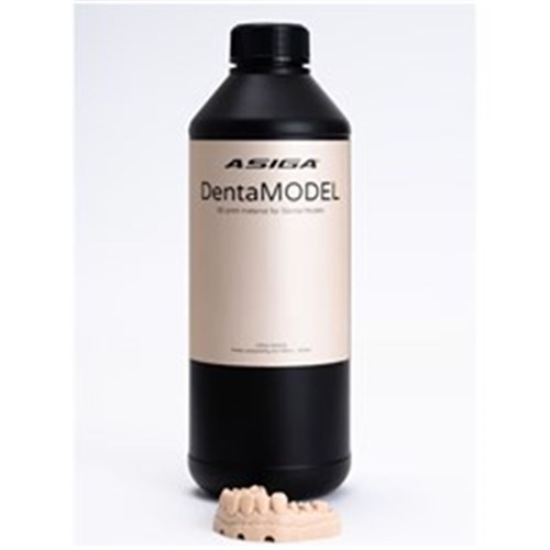 ASIGA DentaMODEL 1kg Bottle