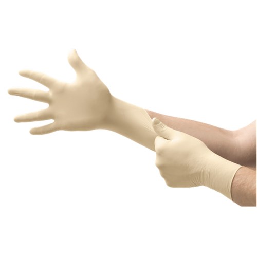 Denta-Glove Powder Free Non Sterile Latex S box 100