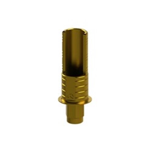 Dyn 3Ti Base Ankylos 1mm GH Non-Eng