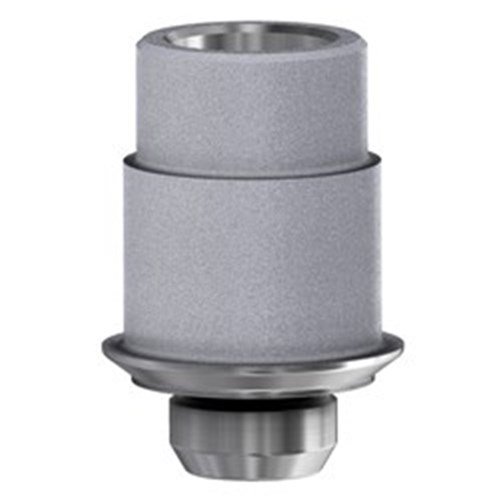 Camlog TiBase Non-Eng 3.3 GH 0.5mm