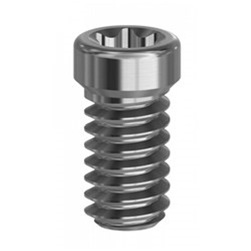Screw TORX Ext. Octagon