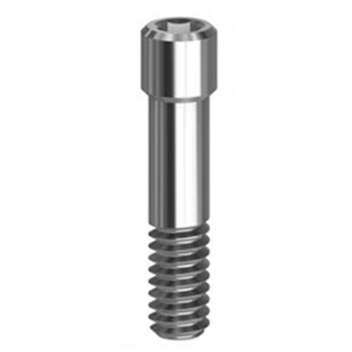 Screw Hex 1.27 Camlog 5.0/6.0 5.0/6.0 Int. CAM