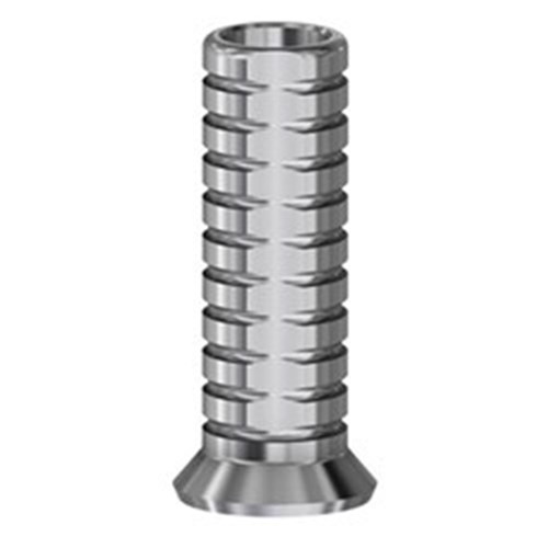 Temp Abutment NEng Octagon