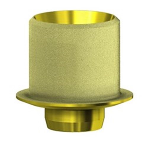 AURUM Base Repl NP NonEng