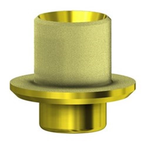 AURUM Base Zimmer WP Non Eng