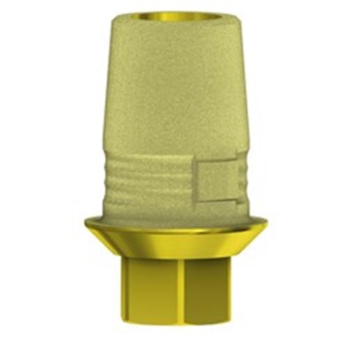C-Base Eng Zimmer SV NP 0.5mm