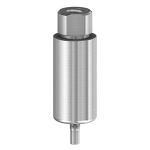 PM Blank Ti 10mm Camlog 3.3