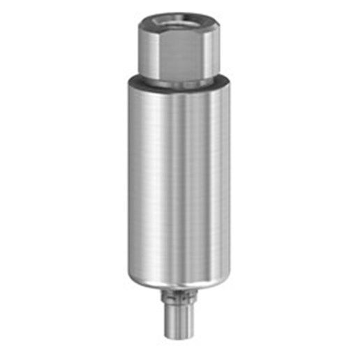 PM Blank Ti 10mm Camlog WP