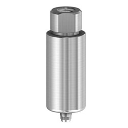 PM Blank Ti 10mm Dentium 3.8