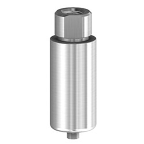 PM Blank Ti 10mm Bego 4.1