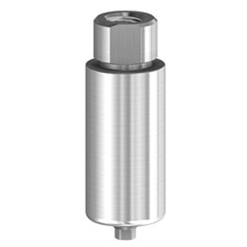 PM Blank Ti 10mm Bego 4.5