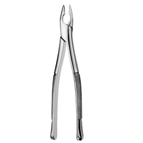 Apical Forceps #1 Upper