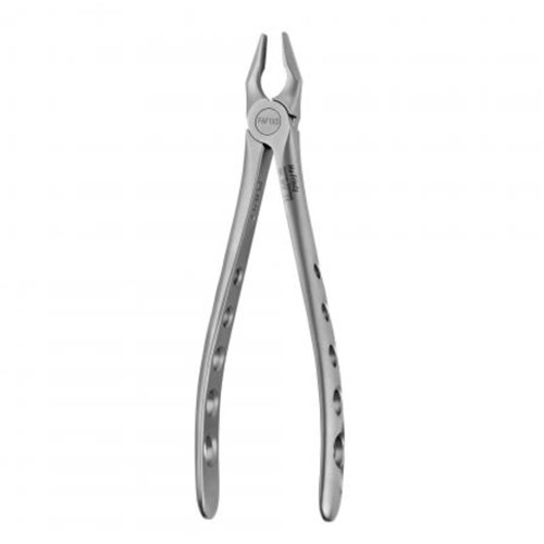 Apical Forceps #1