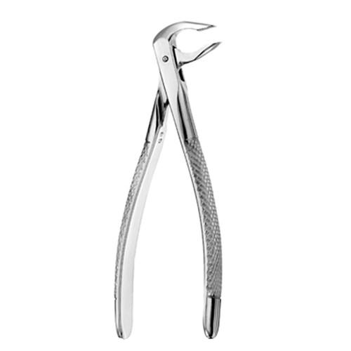 Europeon Style Apical Forceps #74N Lower