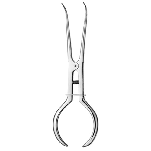 Rubber Dam Forceps #4