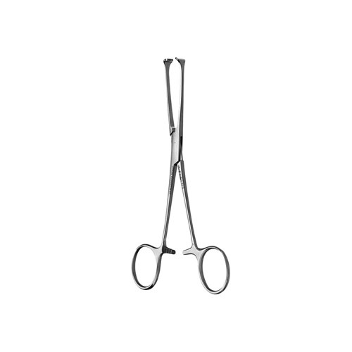 Staight Allison Tissue Forceps