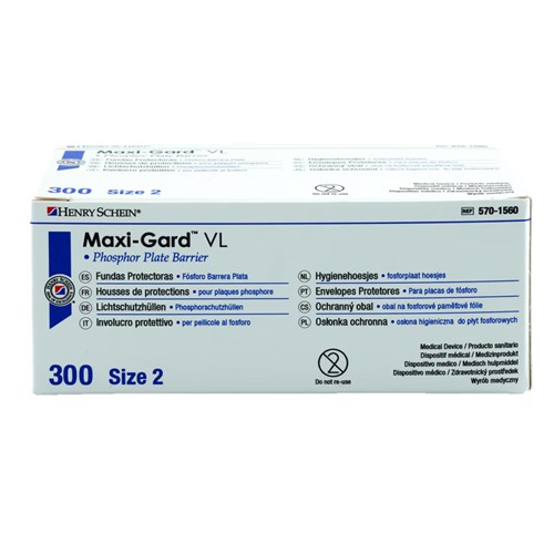 MAXI-GARD VL BARRIER ENVELOPE SIZE 2 Box 300