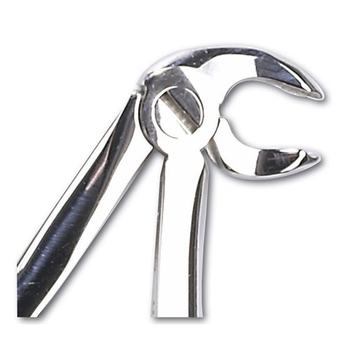 Henry Schein Childrens Forceps Lower Molars #6