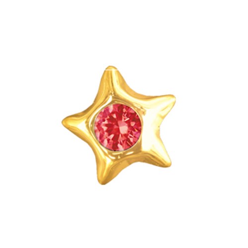 Star with Ruby 22ct Yellow Gold