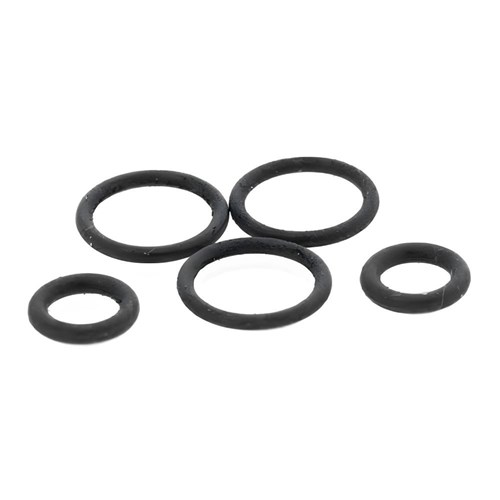 Lubrina Original KaVo Coupling 1079994048 O-ring Ea