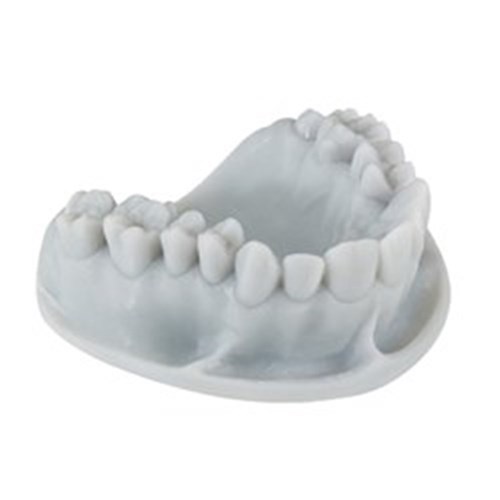 KEYSTONE KeyOrthoModel 1kg