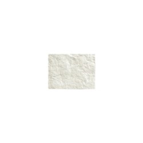 RTM Collagen Membrane 15x20mm 2 Pack
