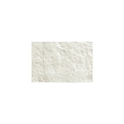 RTM Collagen Membrane 20x30mm 2 Pack