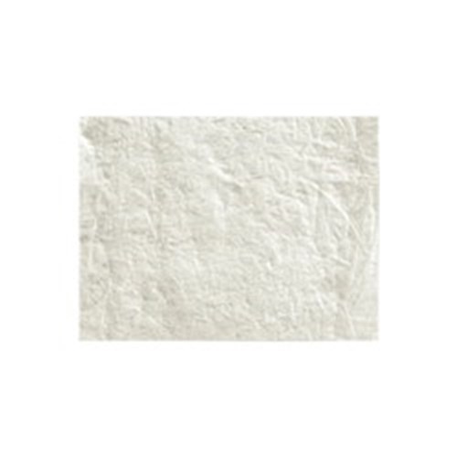 RTM Collagen Membrane 30x40mm 2 Pack