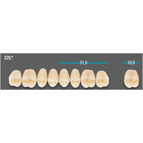 VITA Lingoform Upper Posterior Shade 0M3 Mould 22LU 3D-MASTER