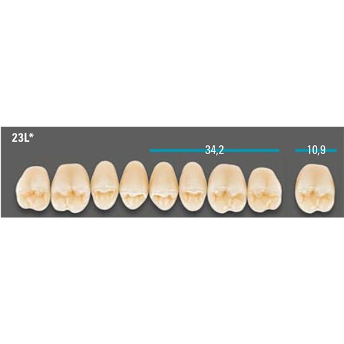 VITA Lingoform Upper Posterior Shade 0M3 Mould 23LU 3D-MASTER