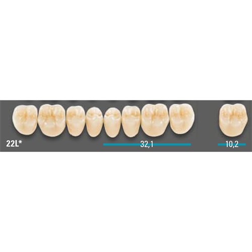 VITA Lingoform Lower Posterior Shade 1M2 Mould 22LL 3D-MASTER