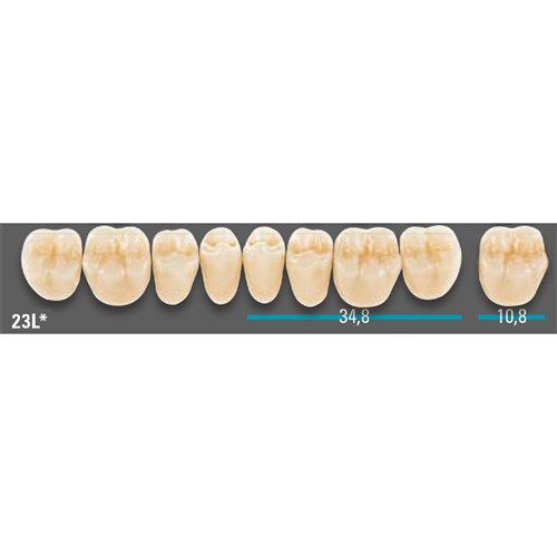 VITA Lingoform Lower Posterior Shade 1M2 Mould 23LL 3D-MASTER