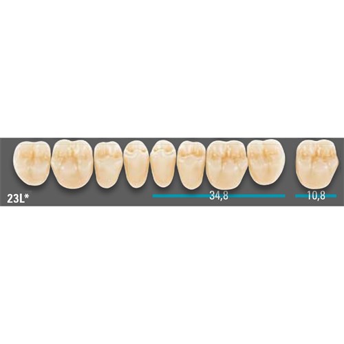 VITA Lingoform Lower Posterior Shade A1 Mould 23L Classical