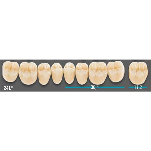 VITA Lingoform Lower Posterior Shade A2 Mould 24L Classical