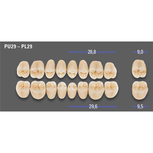 MFT 2M1 PL29 Post Lower x8
