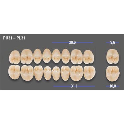 MFT 2M1 PL31 Post Lower x8