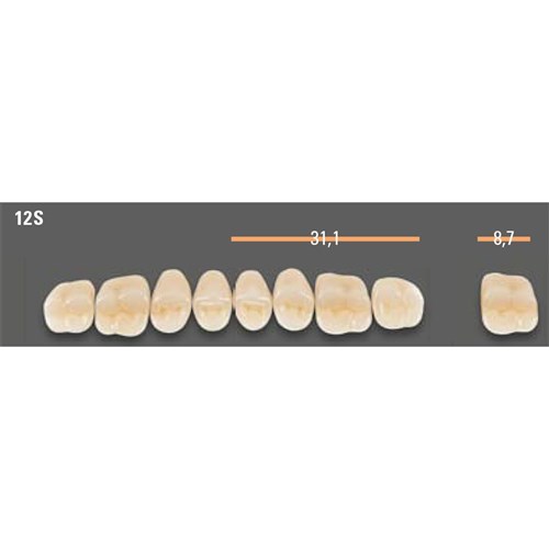 VITAPAN SYNOFORM POSTERIOR /8U