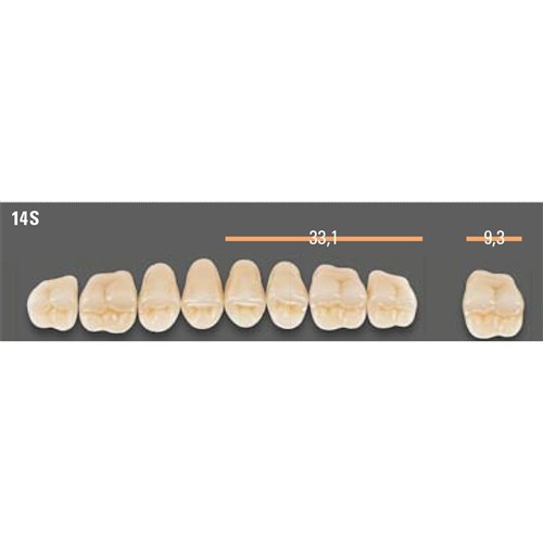 VITAPAN SYNOFORM POSTERIOR/8U