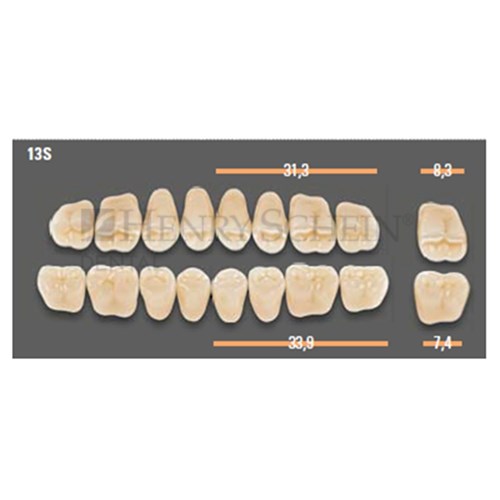 VITAPAN SYNOFORM POSTERIORS/8L