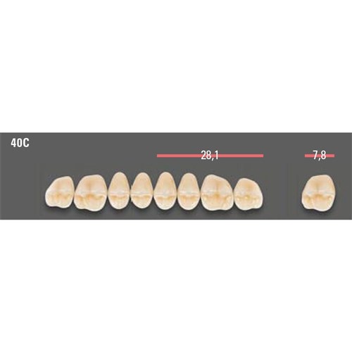 VITAPAN CUSPIFORM POST /8U