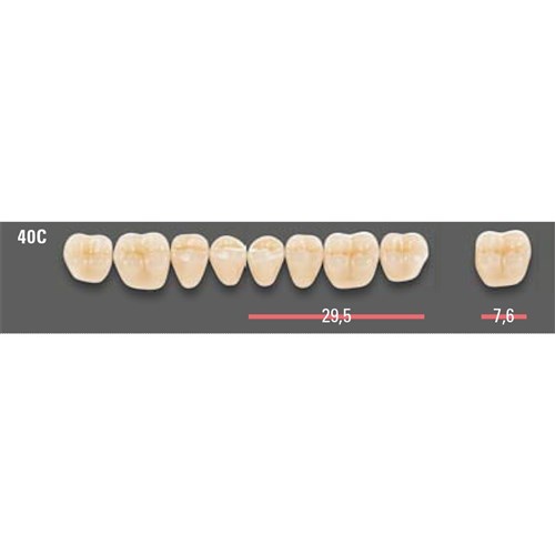 VITAPAN CUSPIFORM POST /8L