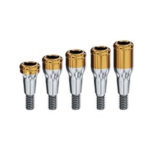 Locator Abutment Ankylos Conical Connection