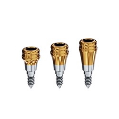 Locator Abutment Anthogyr Conical Connection