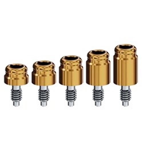 Locator Abutment BioHorizons External Hex